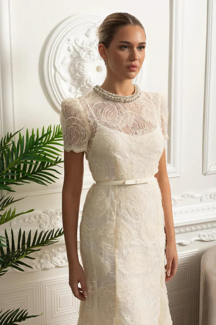Vestido Longo – Luxo, Bordado em Renda, Detalhes com Diamantes e Cristais, Manga Curta Transparente, Modelo Midi