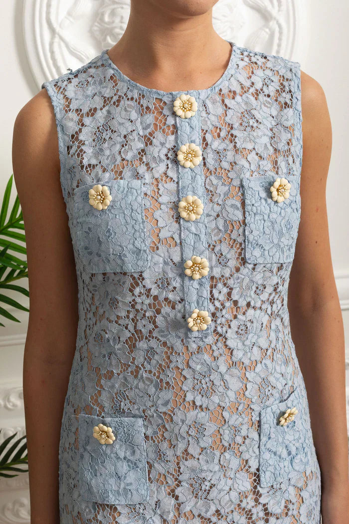 Vestido Curto  – Bordado Floral, Botões, Renda, Decote O e Sem Mangas
